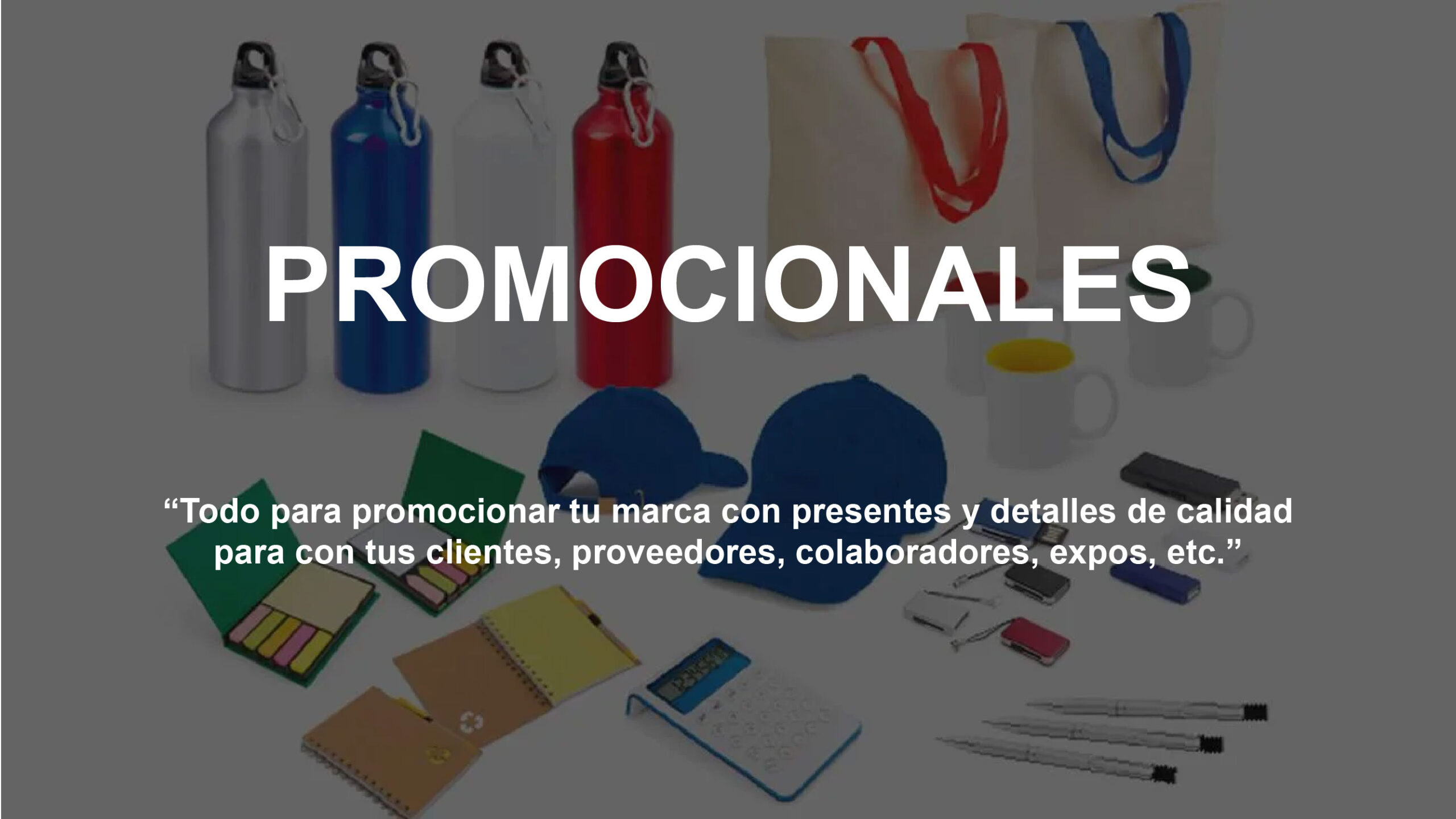 CATEGORIA_PROMOCIONALES__Mesa de trabajo 1