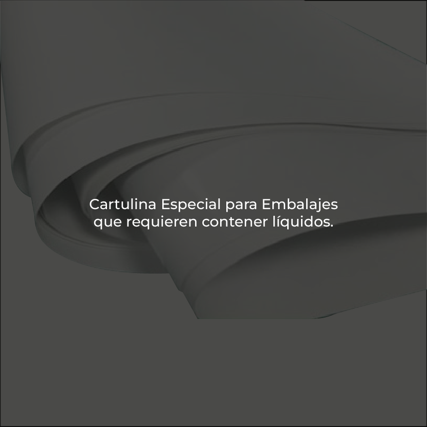 18_CARTON POLY TETRAPACK_VARIAS MEDIDAS_400x400_texto_