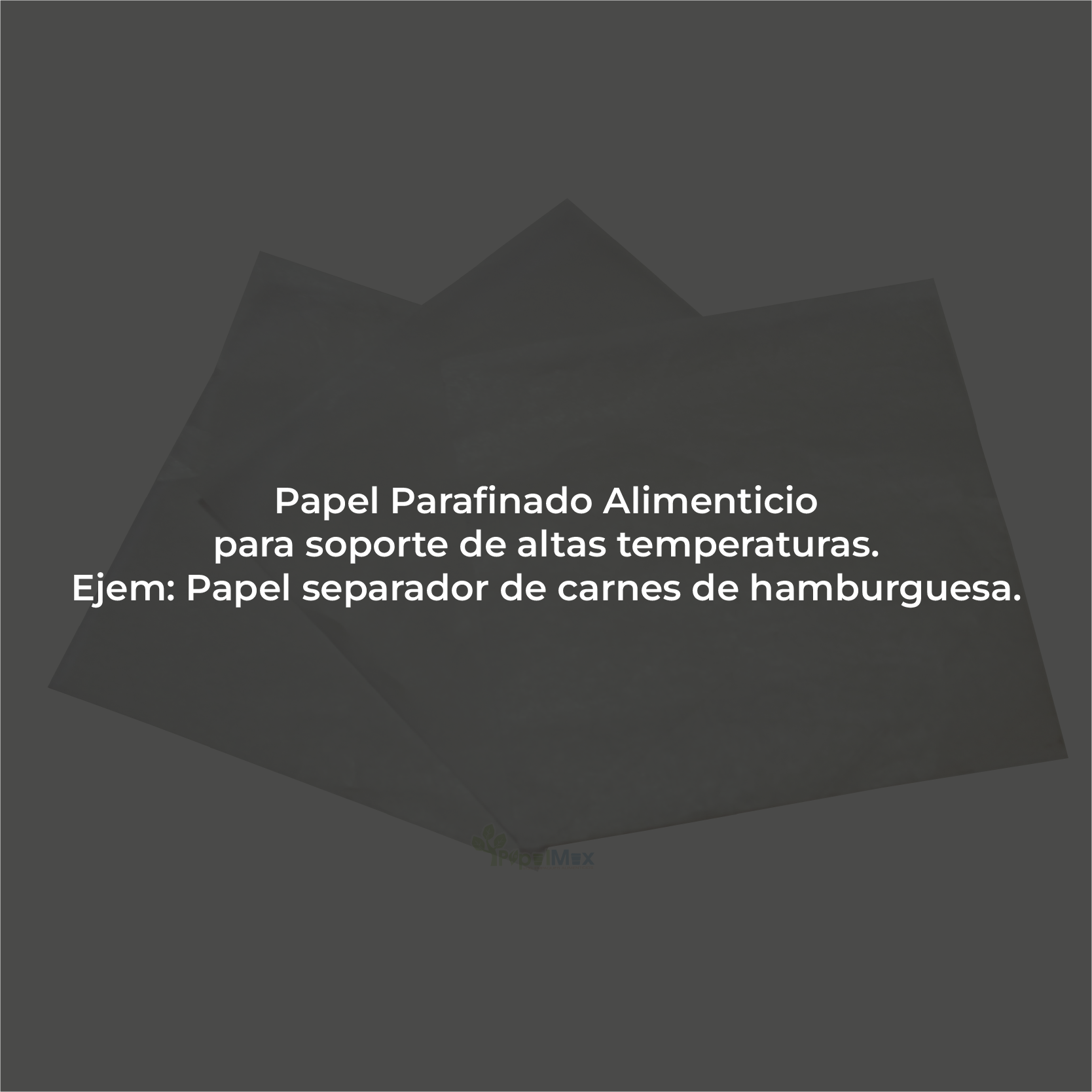 22_SEPARADOR DE CARNE_400x400_texto_